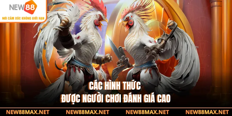 Các hình thức được người chơi đánh giá cao