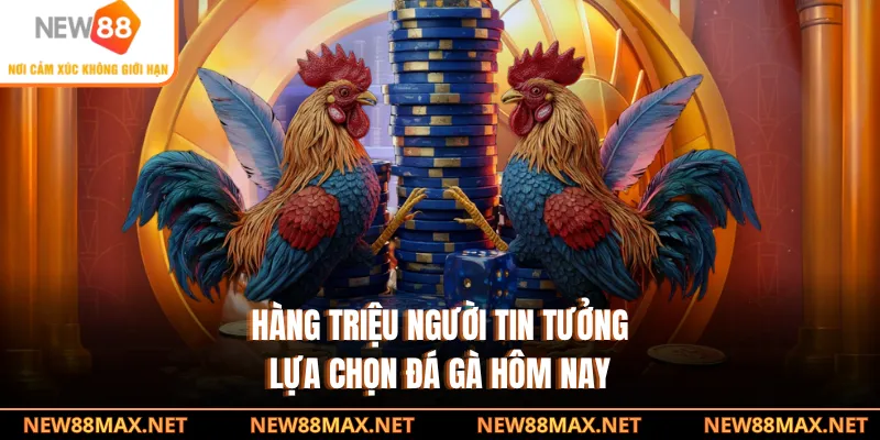 Hàng triệu người tin tưởng lựa chọn đá gà hôm nay