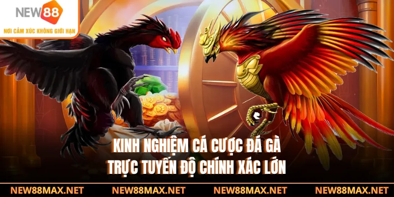Kinh nghiệm cá cược đá gà trực tuyến độ chính xác lớn