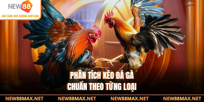 Phân tích kèo đá gà chuẩn theo từng loại