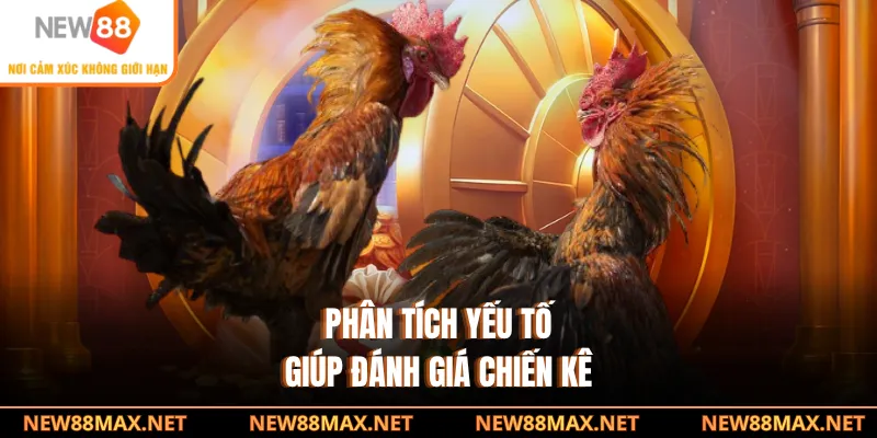 Phân tích yếu tố giúp đánh giá chiến kê