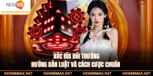 Xóc Đĩa Đổi Thưởng - Hướng Dẫn Luật Và Cách Cược Chuẩn